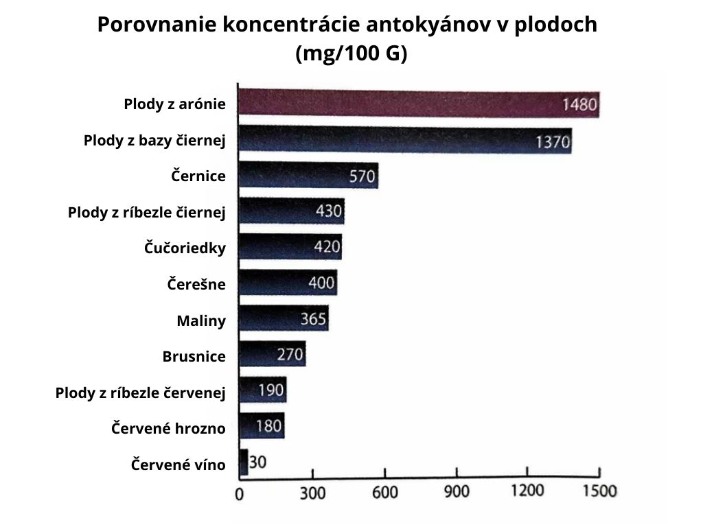 Porovnanie koncentrácie antokyánov v plodoch, arónia na prvom mieste